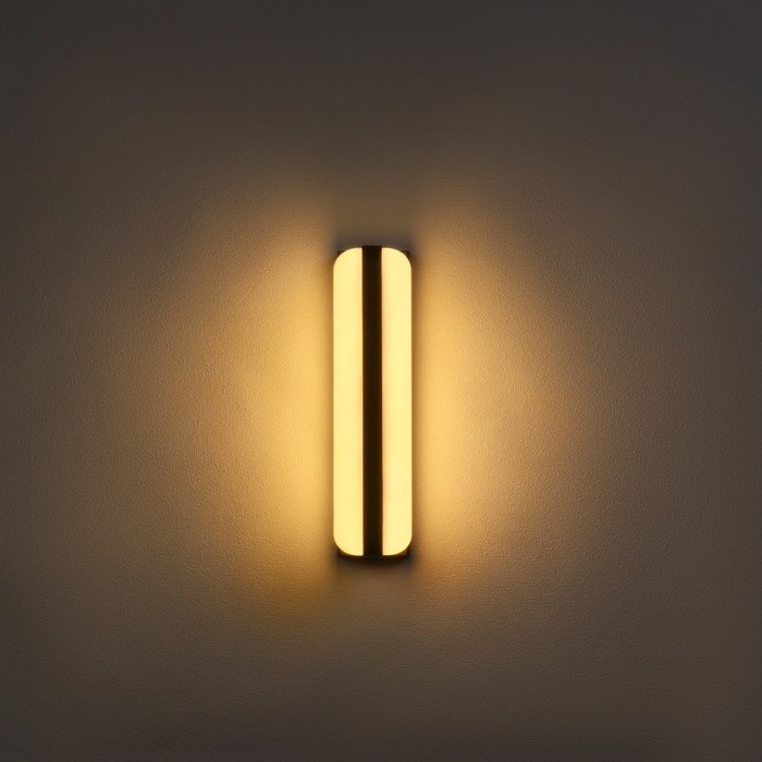 Светильник фасадный «Эллипс», FSD-029, 24 Вт, 3000K, IP65, 220 В, пластик, черный Светильник фасадный «Эллипс», FSD-029, 24 Вт, 3000K, IP65, 220 В, пластик, черный