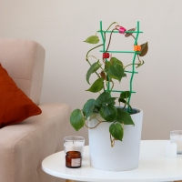 Клипса для растений, набор 10 шт., МИКС Клипса для растений, набор 10 шт., МИКС