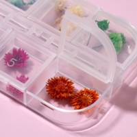 Сухоцветы для декора ногтей &laquo;Ассорти&raquo;, объёмные, 12 видов, в футляре, разноцветные