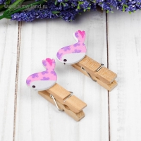 Прищепки декоративные с веревкой для подвеса &laquo;Весенние птички&raquo; набор 10 шт.