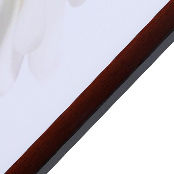 Картина "Белая орхидея" 67х107 см рамка МИКС