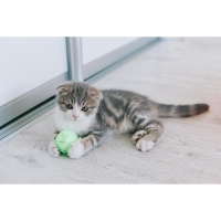 Шар-погремушка "Праздничный" с перьями, 4,5 см, микс цветов Шар-погремушка "Праздничный" с перьями, 4,5 см, микс цветов