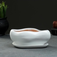 Горшок "Бонсай" для кактусов и суккулентов, малый белый, 0 6 л/ 14х18см