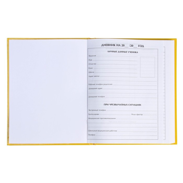 Дневник для 5-11 классов, "Смайл", твердая обложка 7БЦ, глянцевая ламинация, 48 листов