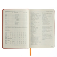 Ежедневник недатированный А5, 160 листов MEGAPOLIS VELVET, твёрдая обложка, искусственная кожа, ляссе, на резинке, тонированный блок 70 г/м2, оранжевый