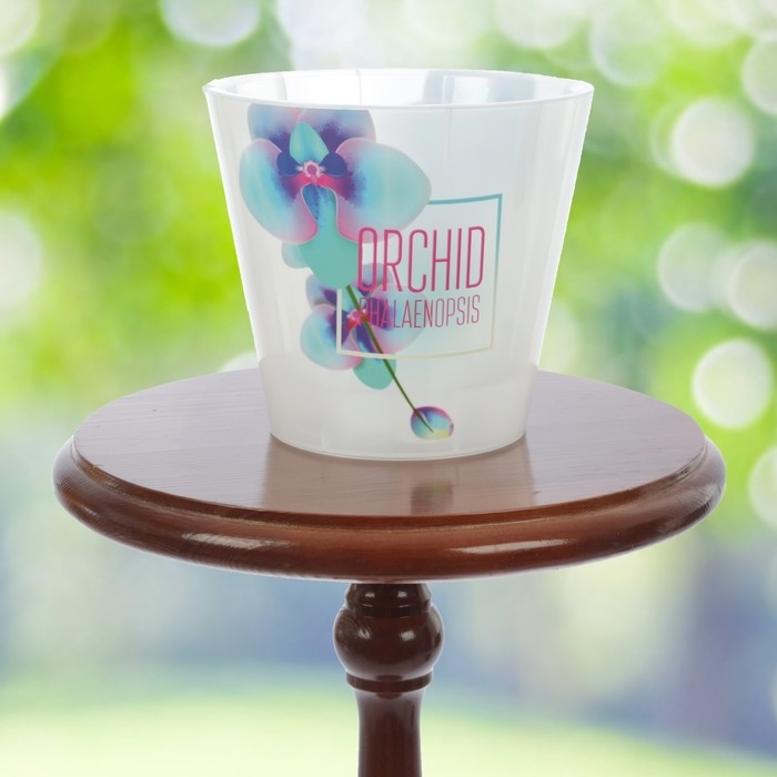 Кашпо для орхидей «Фиджи», 1,6 л, дизайн МИКС Кашпо для орхидей «Фиджи», 1,6 л, дизайн МИКС