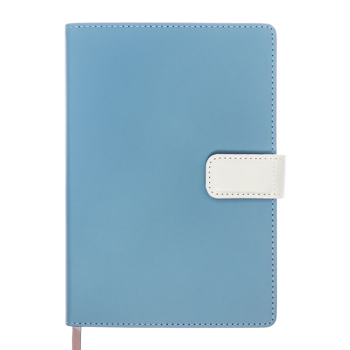 Органайзер на кольцах, А5, 128л, клетка, обл.кожзам, с хлястиком, Бизнес, голубой Органайзер на кольцах, А5, 128л, клетка, обл.кожзам, с хлястиком, Бизнес, голубой