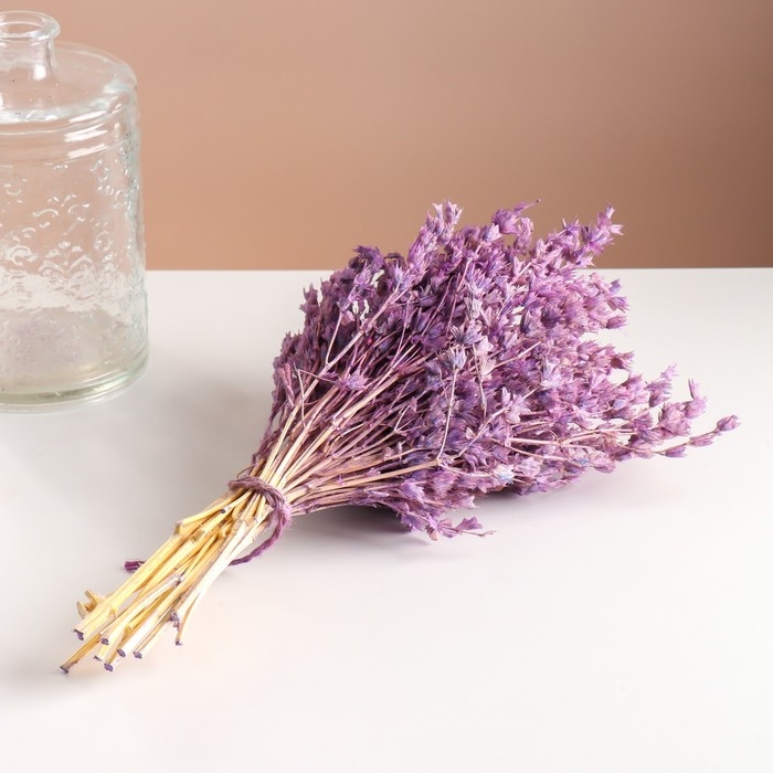Набор сухоцветов Набор сухоцветов "Шандра", банч длина 32 (+/- 6 см), сиреневый