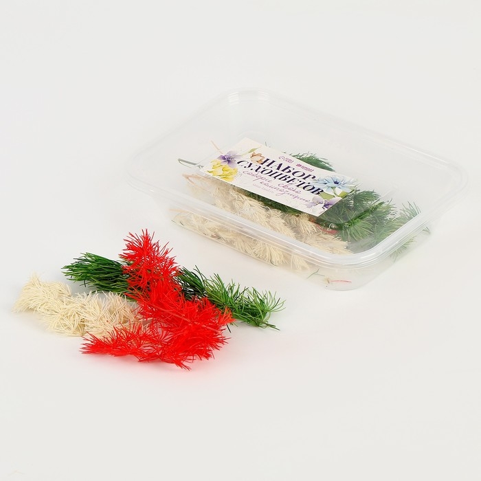 Набор сухоцветов &laquo;Яркий день&raquo;, цвет МИКС