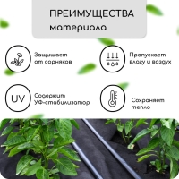 Материал мульчирующий, с перфорацией, 5 &times; 1,6 м, плотность 80 г/м&sup2;, спанбонд с УФ-стабилизатором, чёрный, Greengo, Эконом 30%