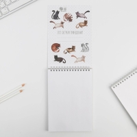 Скетчбук «Кот» А5, 40 л, 100 г/м Скетчбук «Кот» А5, 40 л, 100 г/м