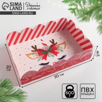 Коробка подарочная с PVC крышкой &laquo;Подарок&raquo;, 20 х 30 х 8 см, Новый год