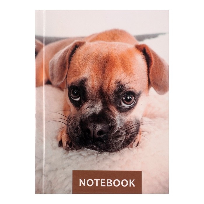 Блокнот А6, 64 листа в клетку "Лучший друг", твёрдая обложка, глянцевая ламинация, блок офсет