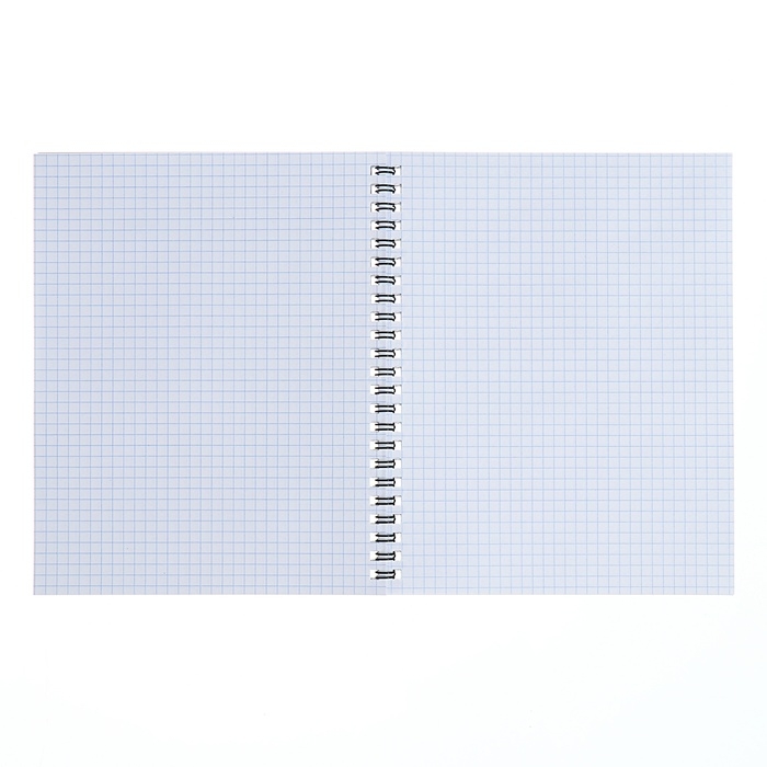 Тетрадь 48 листов, в клетку, на гребне, Magnificent World, обложка мелованный картон, матовая ламинация, тиснение фольгой, МИКС Тетрадь 48 листов, в клетку, на гребне, Magnificent World, обложка мелованный картон, матовая ламинация, тиснение фольгой, МИКС