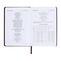 Ежедневник недатированный, А5, 140л, клетка, обл.кожзам, Стиль, синий