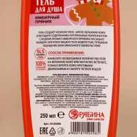 Новый Год. Гель для душа, 250 мл, аромат имбирного пряника Новый Год. Гель для душа, 250 мл, аромат имбирного пряника