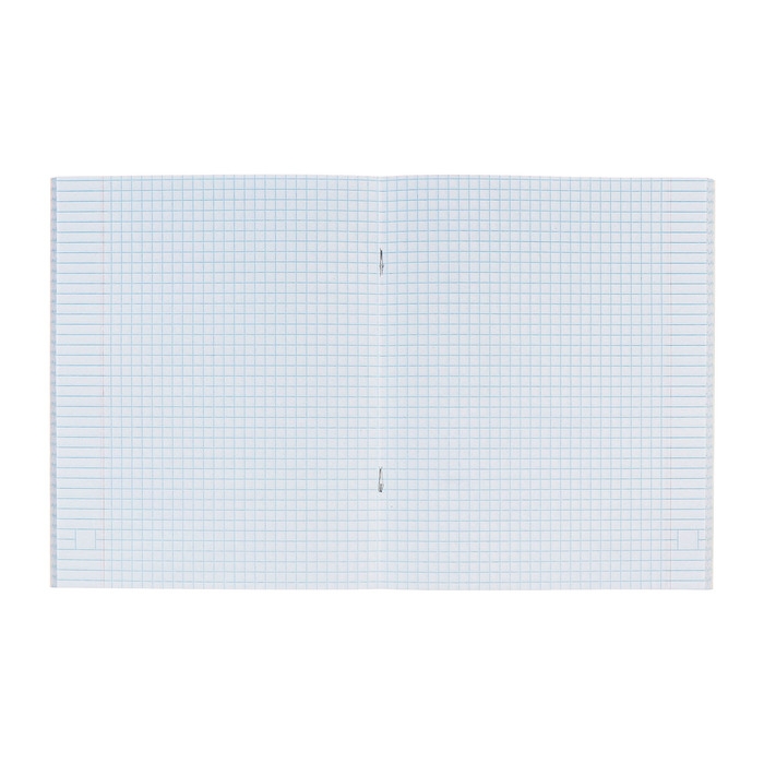 Комплект тетрадей из 5 штук, 48 листов в клетку Calligrata "Авокато", обложка мелованный картон, блок офсет