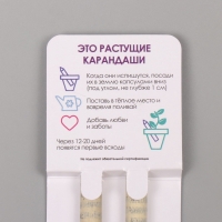 Растущие подарочные карандаши mini "Мята + Лаванда" набор 2 шт. Растущие подарочные карандаши mini "Мята + Лаванда" набор 2 шт.