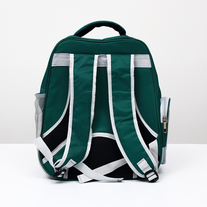 Рюкзак для переноски кошек Рюкзак для переноски кошек "Котик", прозрачный, 34 х 25 х 40 см, зелёный