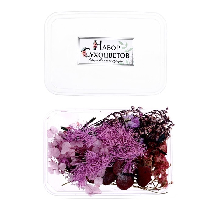 Набор для творчества «Набор сухоцветов», малый, фиолетовый Набор для творчества «Набор сухоцветов», малый, фиолетовый