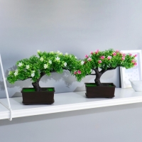 Бонсай в горшке "Дерево жизни" 11,5х15 см, микс Бонсай в горшке "Дерево жизни" 11,5х15 см, микс