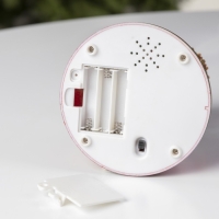 Светодиодная фигура «Карусель» 12 × 16 × 12 см, полистоун, батарейки АААх3 (не в комплекте), свечение RGB Светодиодная фигура «Карусель» 12 × 16 × 12 см, полистоун, батарейки АААх3 (не в комплекте), свечение RGB