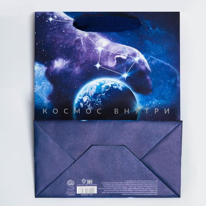 Пакет подарочный вертикальный, упаковка, &laquo;Космос внутри&raquo;, MS 18 х 23 х 10 см