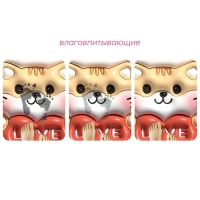 Коврик для дома Доляна Love, влаговпитывающий, 40&times;60 см