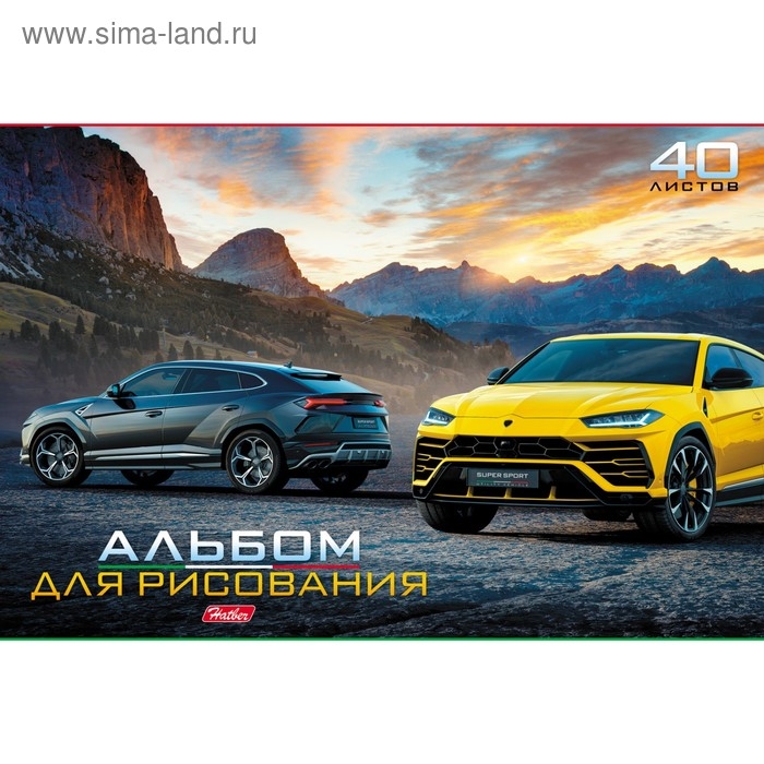 Альбом для рисования А4, 40 листов, на скрепке, "Ассорти", обложка мелованный картон, блок 100 г/м&sup2;, МИКС