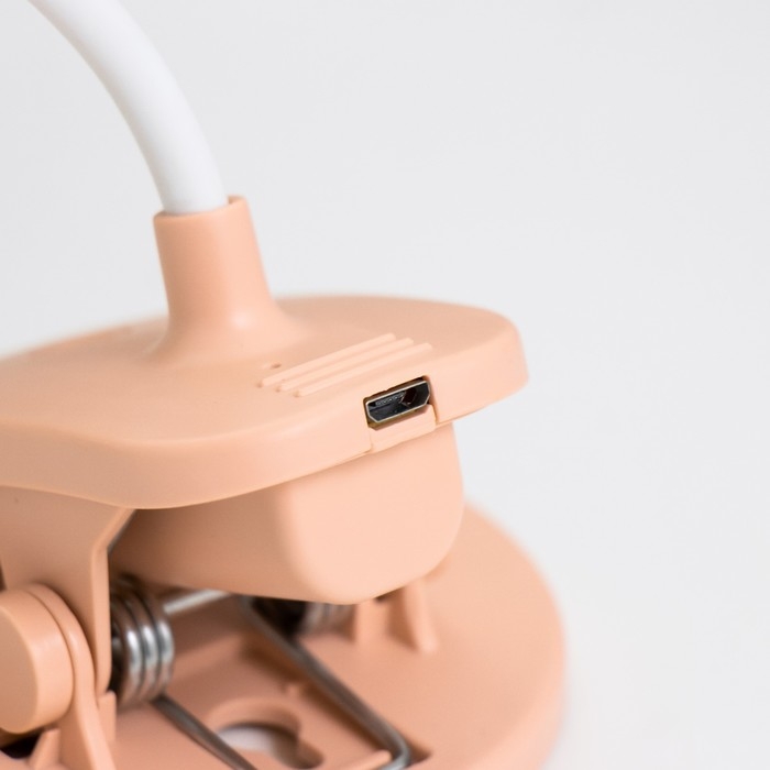 Настольная лампа "Дженер" LED 2Вт USB АКБ МИКС 9х9х22 см RISALUX