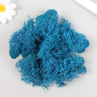 Мох стабилизированный "Морская волна" МИКС 45 гр (+-5 гр)