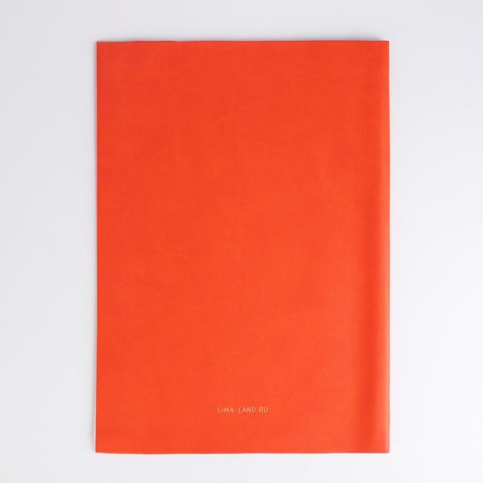 Папка для документов &laquo;Docs&raquo;, 8 файлов А4