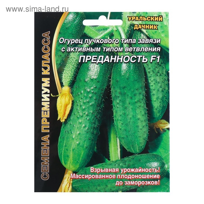 Семена Огурец "Преданность" F1 пучкового типа завязи, партенокарпический, 7 шт
