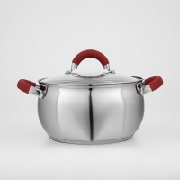 Кастрюля из нержавеющей стали Доляна &laquo;Вернер&raquo;, 3,5 л, d=20 см, с крышкой, индукция