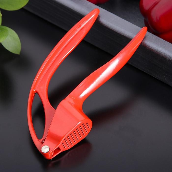 Пресс для чеснока Доляна &laquo;Краски&raquo;, 16 см, цвет МИКС