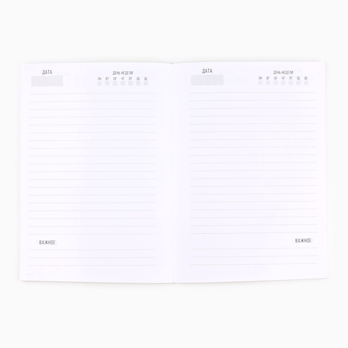 Подарочный набор новогодний, ежедневник в тонкой обложке и ручка «Зимняя сказка» Подарочный набор новогодний, ежедневник в тонкой обложке и ручка «Зимняя сказка»