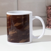 Кружка &laquo;Рыболовный спецназ&raquo; щука, 320 мл