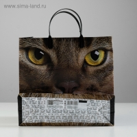 Пакет "Кэт", мягкий пластик, 30 х 30 см, 150 мкм Пакет "Кэт", мягкий пластик, 30 х 30 см, 150 мкм