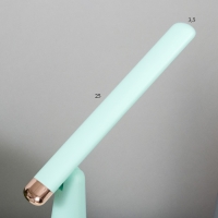 Лампа настольная "Страйк" LED 3 режима 1,5Вт USB зеленый 6,8х6,8х28,5 см RISALUX Лампа настольная "Страйк" LED 3 режима 1,5Вт USB зеленый 6,8х6,8х28,5 см RISALUX