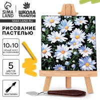Рисование пастелью c холстом на подрамнике «Ромашки», набор для творчества Рисование пастелью c холстом на подрамнике «Ромашки», набор для творчества