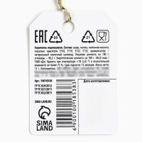 Леденец формовой, на палочке &laquo;Непрошенное мнение&raquo;, со вкусом молочного шоколада, 15 г