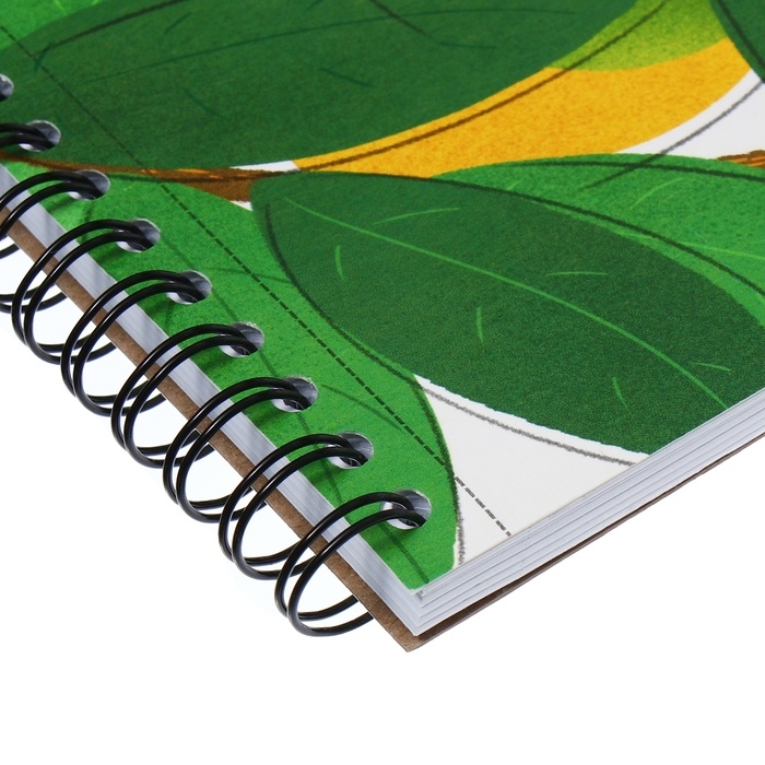 Альбом для рисования А4, 40 листов на спирали, ErichKrause Juicy Fruits, плотность 120 г/м2, микроперфорация для отрыва