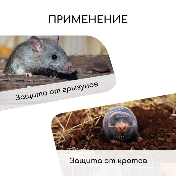 Сетка оцинкованная, сварная, 10 × 1 м, ячейка 12,5 × 12,5 мм, d = 1 мм, Greengo Сетка оцинкованная, сварная, 10 × 1 м, ячейка 12,5 × 12,5 мм, d = 1 мм, Greengo