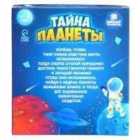 Набор для раскопок «Тайна планеты» Набор для раскопок «Тайна планеты»