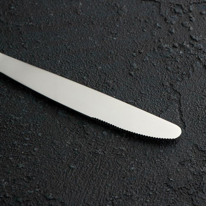 Набор столовый &laquo;Аппетит&raquo;, 24 предмета, сувенирная коробка