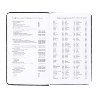 Планинг карманный недатированный, 80 листов, 100х170 мм, deVENTE.Selena, твердая обложка кожзам с поролоном, хлястик, ляссе, блок 70%, черный Планинг карманный недатированный, 80 листов, 100х170 мм, deVENTE.Selena, твердая обложка кожзам с поролоном, хлястик, ляссе, блок 70%, черный