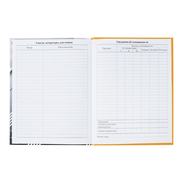 Дневник универсальный для 1-11 классов, "Истребитель", твердая обложка 7БЦ, глянцевая ламинация, 40 листов