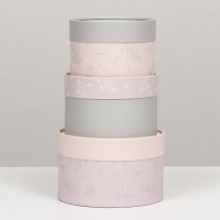 Набор шляпных коробок 3 в 1 "Пастель", завальцованная, 16 х 10, 14 х 9, 13 х 8,5 см Набор шляпных коробок 3 в 1 "Пастель", завальцованная, 16 х 10, 14 х 9, 13 х 8,5 см