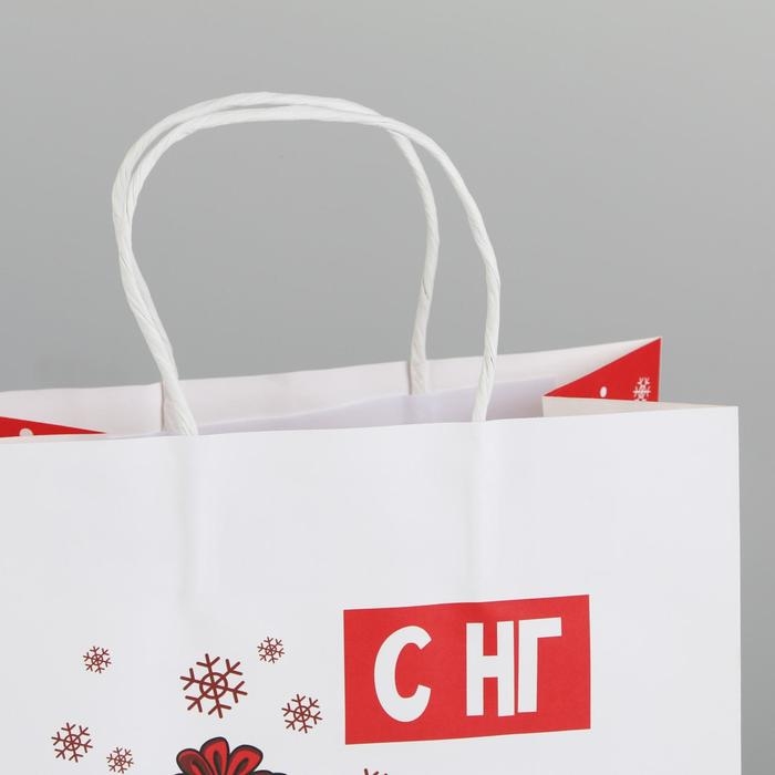 Пакет подарочный новогодний «А вас также», 22 х 22 х 11 см, Новый год Пакет подарочный новогодний «А вас также», 22 х 22 х 11 см, Новый год