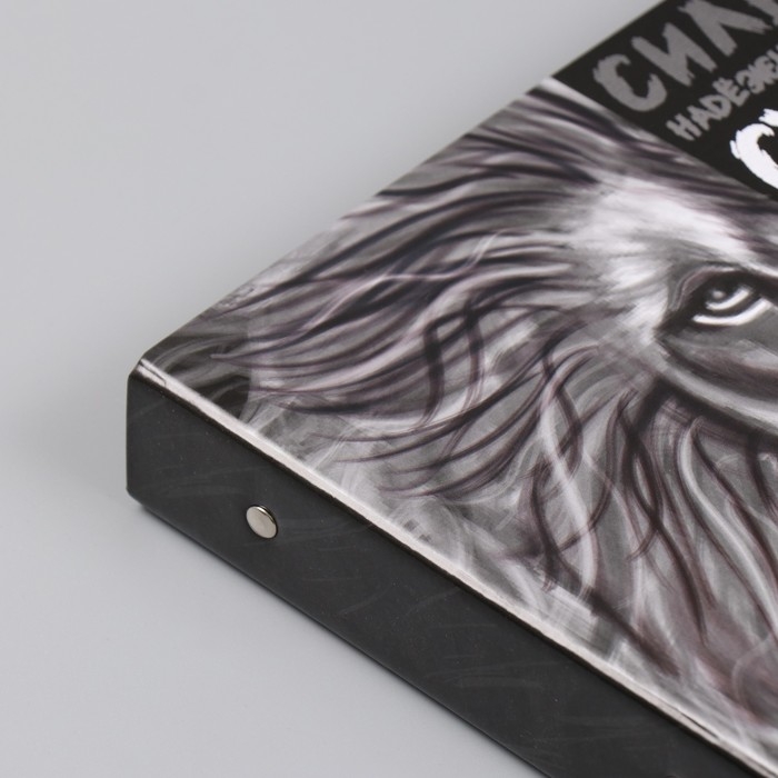 Фотоальбом 25 листов (наклейки+кольца) Фотоальбом 25 листов (наклейки+кольца) "Лев" 19х27х3 см